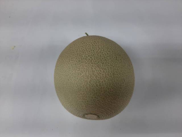 (Nancy繽紛水果季)台灣哈蜜瓜1.1kg